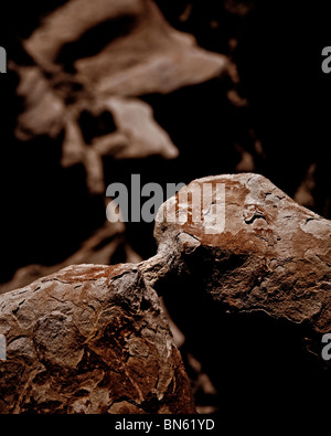 Erosion in the badlands.  A careful balance of light and shadow provide an unusual backdrop for the abstract dumbbell formation. Stock Photo