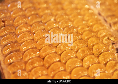 Candy factory in Kabul, Afghanistan Stock Photo