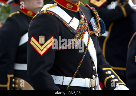 corporal and bugler of the band of HM Royal Marines Scotland at Armed Forces Day 2010 in Bangor County Down Northern Ireland Stock Photo