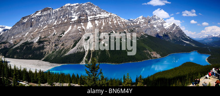 Peyto Lake and surrounding mooutains panorama. Banff National Park, Alberta, Canada. Stock Photo