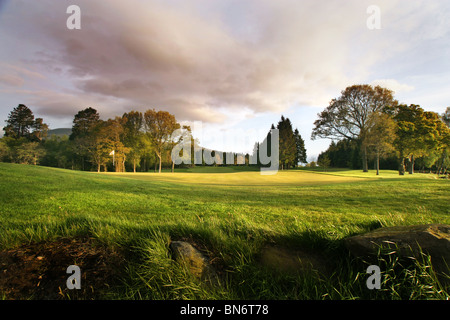 Loch Lomond Golf Course, Glasgow, Scotland. Hole 3 Rough with trees in the background. Stock Photo