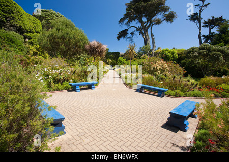 The Abbey gardens on Tresco, one of the Scilly Isles, off South West Cornwall, UK, renowned for its tropical plants Stock Photo