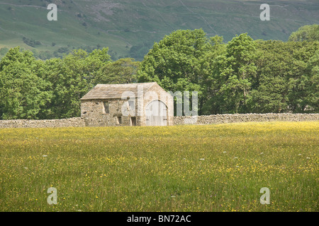 Barn and hay meadow in Upper Swaledale, Yorkshire Dales, UK Stock Photo