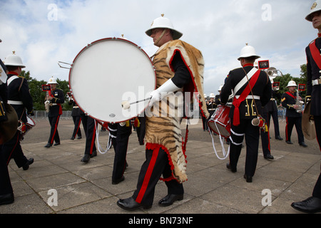 bass drummer wearing tiger skin of the band of HM Royal Marines Scotland at Armed Forces Day 2010 in Bangor County Down Stock Photo