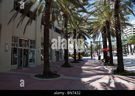 Miami south beach Collins avenue Stock Photo - Alamy