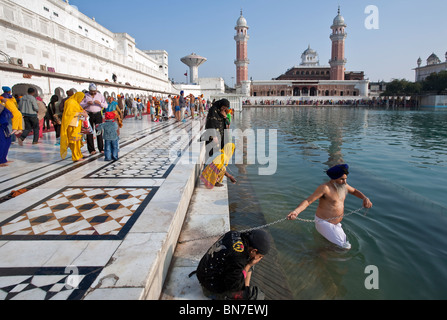 Sikh pilgrims bathing in the sacred pool. The Golden Temple. Amritsar. Punjab. India Stock Photo