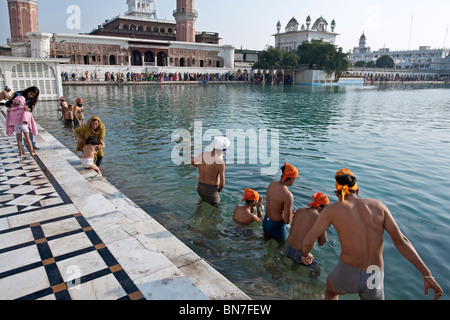 Sikh pilgrims bathing in the sacred pool. The Golden Temple. Amritsar. Punjab. India Stock Photo