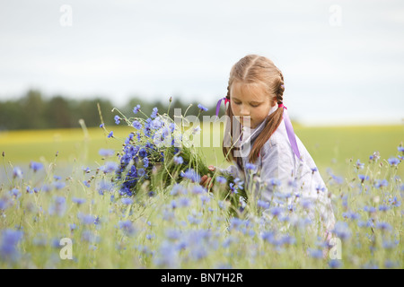 Little girl picking blue flowers in a field Stock Photo