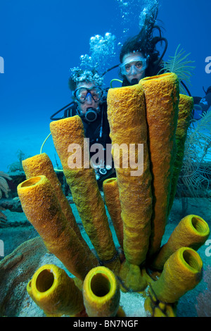 Divers look at tube sponges growing on the wreck of the Doc Poulson, Grand Cayman Stock Photo