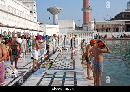 Sikh pilgrims bathing in the sacred pool. The Golden Temple. Amritsar. Punjab. India Stock Photo