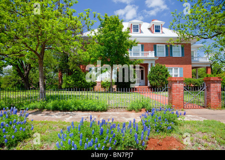 A home with bluebonnet wildflowers in Mason, Texas, USA. Stock Photo