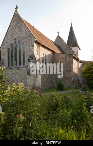 Holy Trinity Church Bosham on a sunny summer evening with overgrown gravestones Stock Photo