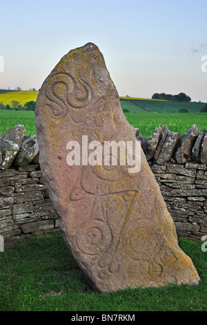 The Serpent Stone, a carved Pictish stone at Aberlemno, Scotland, UK Stock Photo