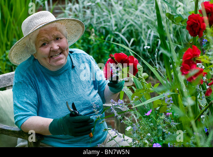 Happy elderly lady pruning roses in her verdant home garden Stock Photo