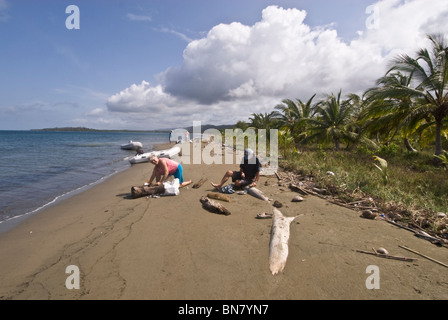 Tourists clearing up and burning garbage on a beautiful beach in Kuna Yala, on the island of Mamitupu. Stock Photo
