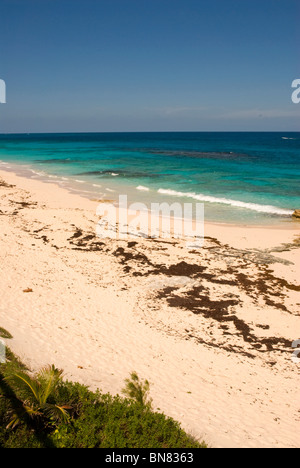 Beach at Nippers, Guana Cay, Abaco, Bahamas Stock Photo