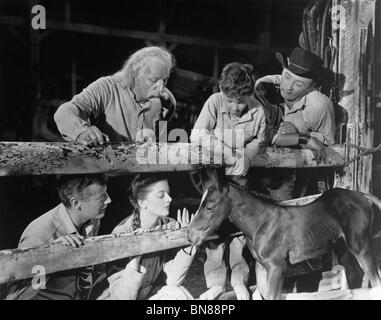 THE RED PONY (1949) ROBERT MITCHUM, PETER MILES, LOUIS CALHERN, SHEPPERD STRUDWICK, MYRNA LOY LEWIS MILESTONE (DIR) Stock Photo