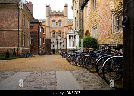 Student / students' bicycles at Cambridge University, locked up outside Trinity college. Trinity Lane, Cambridge. Cambridgeshire Stock Photo