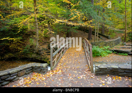 Bridge in Letchworth State Park Western New York Stock Photo
