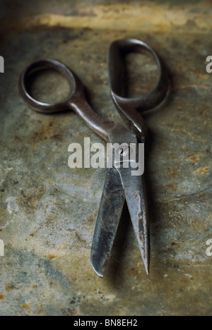 Old rusty tailor's pair of scissors Stock Photo