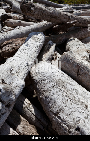 Driftwood on the beach, close up Stock Photo