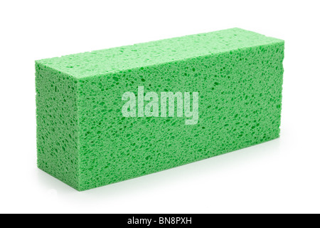 Green Sponge with white background Stock Photo