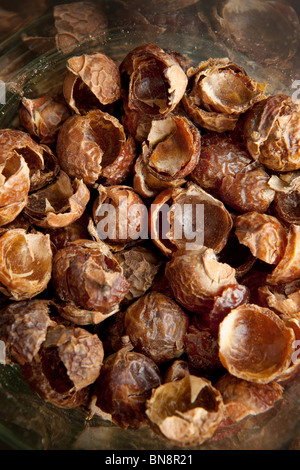 soap nuts Stock Photo