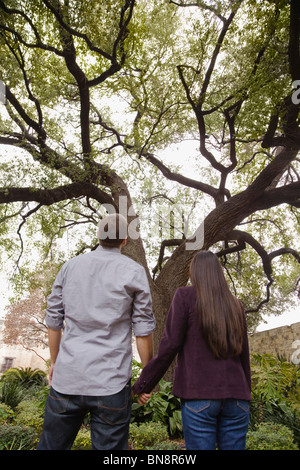 Couple holding hands and looking at tree Stock Photo