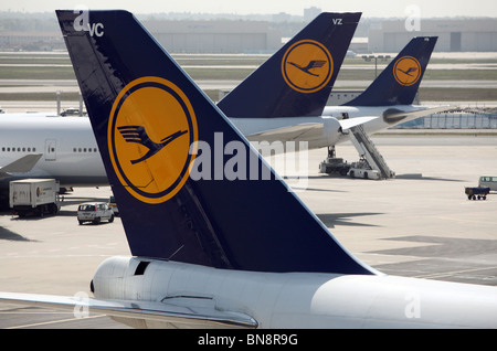 Lufthansa aircrafts at the airport, Frankfurt am Main, Germany Stock Photo