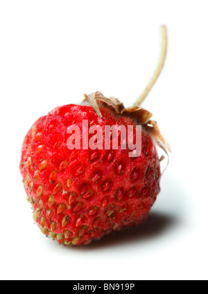 One ripe wild strawberry isolated on white Stock Photo - Alamy