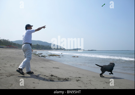 Labrador retriever chasing toy into the sea Stock Photo