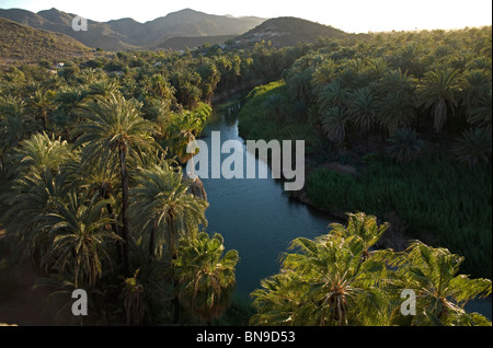 The river of Mulege in Mexico's southern Baja California state, February 20, 2009. Stock Photo