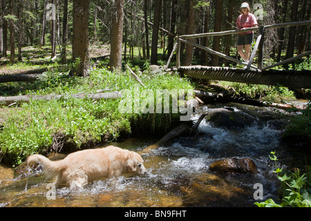 A dog and her female owner pause during a hike along South Fooses Creek, Sawatch Range, Rocky Mountains, Colorado, USA Stock Photo