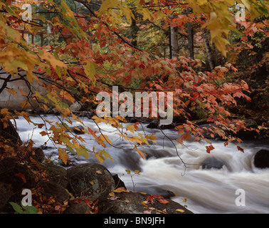 Waterfall in Autumn,NY Stock Photo