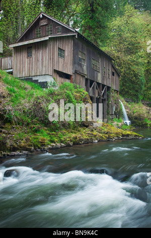Clark County, WA: Cedar Creek Grist Mill (1876) surrounded by spring forest green Stock Photo