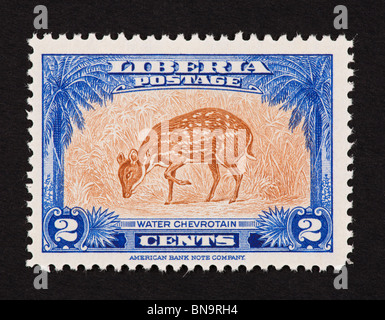Postage stamp from Liberia depicting a water chevrotain. Stock Photo