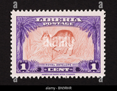 Postage stamp from Liberia depicting a royal antelope. Stock Photo