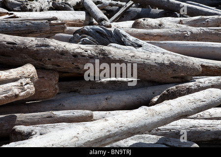 Driftwood on the beach, close up Stock Photo
