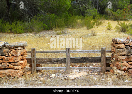 masonry stone wall wooden fence door pine forest Formentera Balearic islands Stock Photo