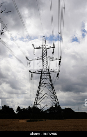 pylons carrying high voltage electricity lines Stock Photo