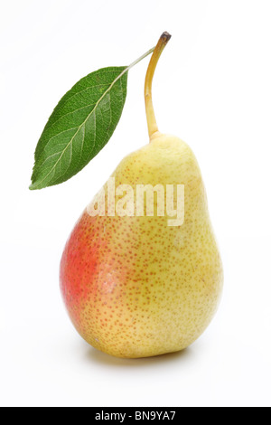 One ripe pear with a leaf. Isolated on a white background. Stock Photo