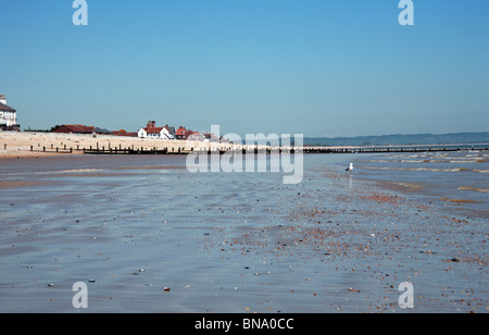 Beach at low tide with seagull, Littlestone, Romney Marsh, Folkestone, Kent England Europe Stock Photo