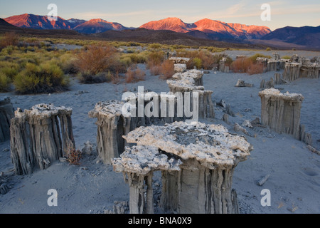 Sunrise over Mono Lake tufas with Sierra mountians in the background.
