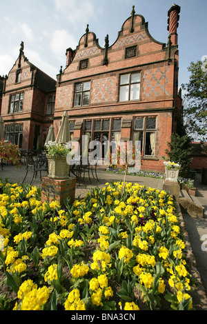 Chester Zoological Gardens. Spring view of bedding plants with the Oakfield Restaurant, in the background. Stock Photo