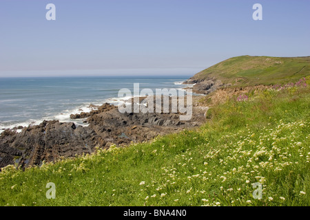 Baggy point Croyde bay devon england Stock Photo