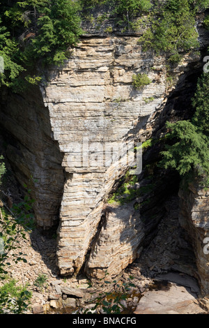 Elephant's head rock formation at Ausable Chasm. Shot from the rim of the chasm. Stock Photo