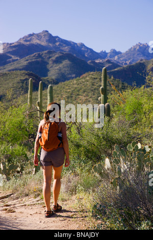 Hiker in Sabino Canyon Recreation Area, Tucson, Arizona. (model released) Stock Photo