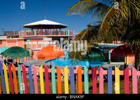 Nippers, Guana Cay, Abaco, Bahamas Stock Photo