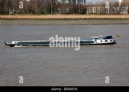Belgium, Antwerp, a barge on the Scheldt river Stock Photo