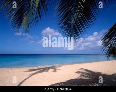 Barbados tropical island West Indies classic typical & iconic sunny sand beach turquoise sea blue sky & shadows of Caribbean palm trees & fronds Stock Photo